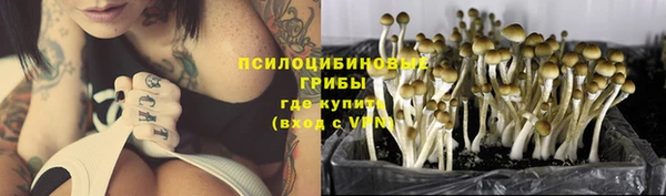 apvp Новодвинск