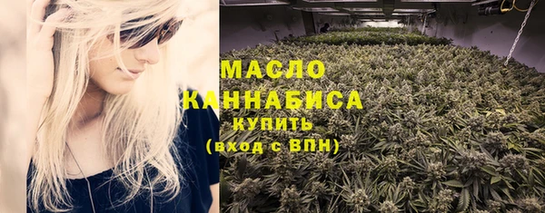 индика Бердск