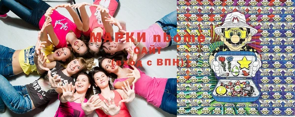 apvp Новодвинск
