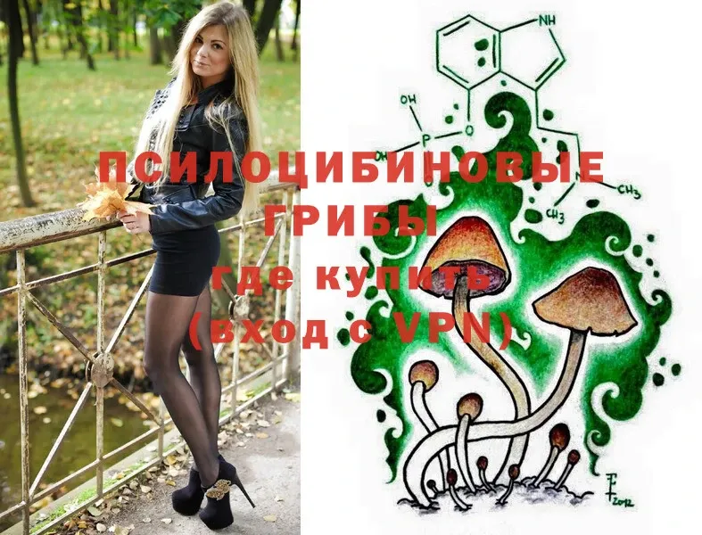 Галлюциногенные грибы Psilocybine cubensis  Красный Кут 