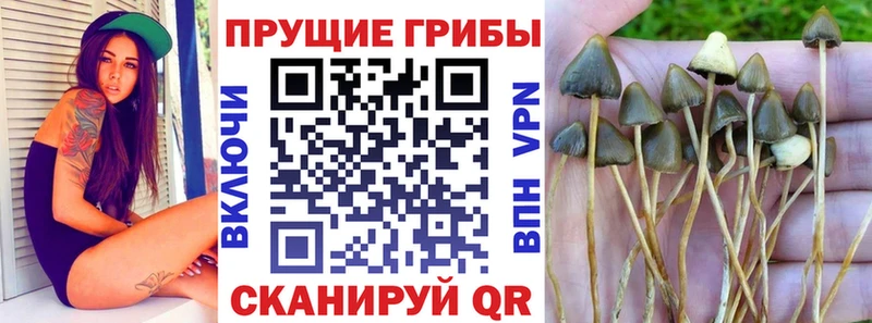 Галлюциногенные грибы мицелий  Красный Кут 